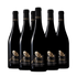 Midas Cabernet Franc 6