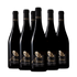 Midas Pinot Bianco 6